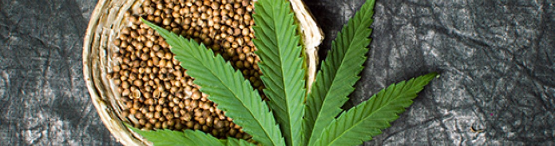 What Is Industrial Hemp? It’s Not Marijuana